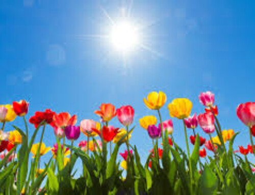 SPRING ‘CLEANING’ 